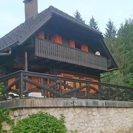 Cottage In The Woods - Lake 보히니 외부 사진