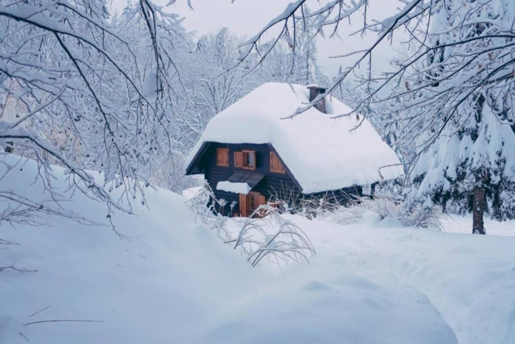 Cottage In The Woods - Lake 보히니 외부 사진
