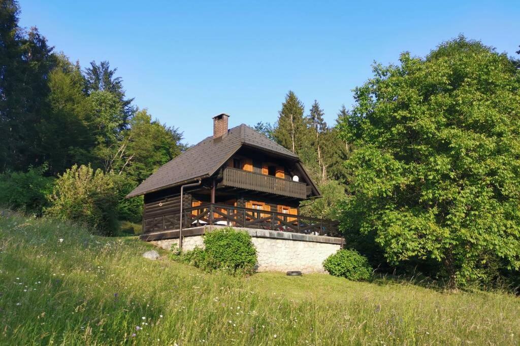 Cottage In The Woods - Lake 보히니 외부 사진
