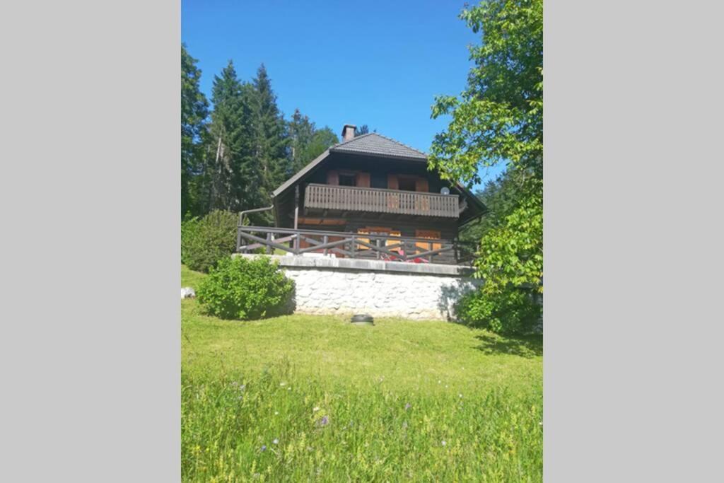 Cottage In The Woods - Lake 보히니 외부 사진
