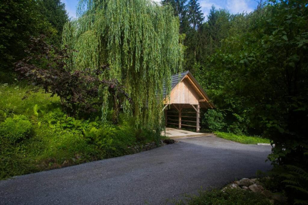 Cottage In The Woods - Lake 보히니 외부 사진