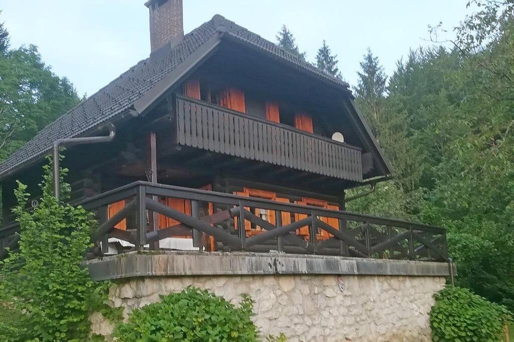 Cottage In The Woods - Lake 보히니 외부 사진